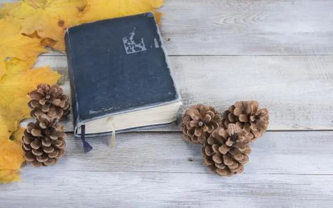 Yellow or red leaves with pine cone on white wooden grunge background with ol Stock Photos