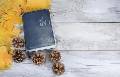 Yellow or red leaves with pine cone on white wooden grunge background with ol Stock Photos