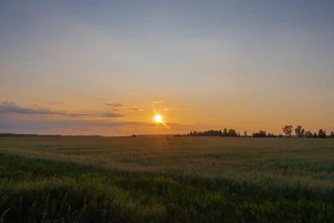 Yellow-orange disk of the setting sun over the horizon and a little cloudy. Stock Photos