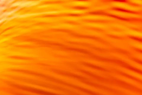 Yellow orange waves with gradient. Abstraction Stock Photos