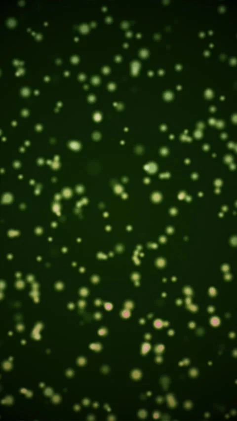 Yellow Organic Particles Stock Footage 311279373