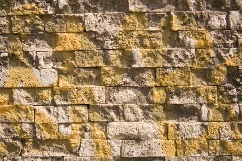 Yellow over bricks Stock Photos