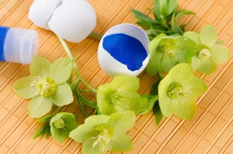 Yellow pad and Easter decoration with egg shells and hellebore plus tempera p Stock Photos