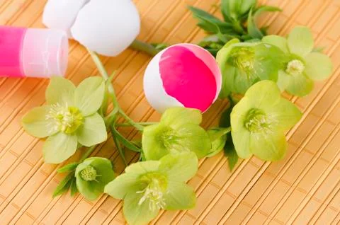 Yellow pad with red tempera in a egg shell as an Easter decoration Stock Photos