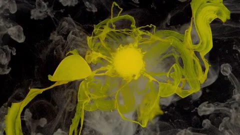 Yellow Paint Flower 스톡 동영상 330090960