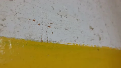 The Yellow paint on old surface. Yellow and white paint on the wall. Stock Footage 162959106