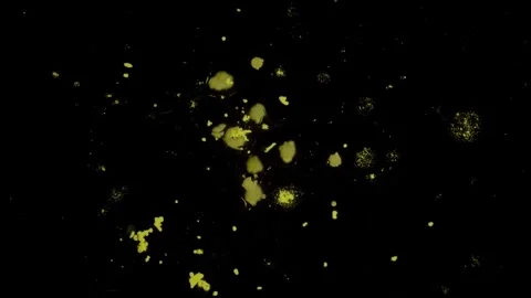 Yellow Paint start 스톡 동영상 330444551