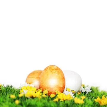Yellow painted easter eggs Stock Illustration
