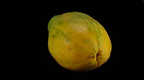 Yellow papaya rotating with black background Stock Footage 54076683