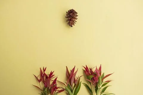 Yellow Paper Background Texture With Red Green Leaves And Pine Flowers. Minim Stock Photos