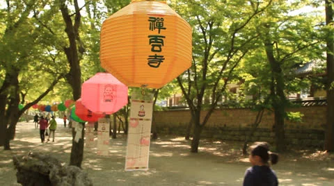 Yellow paper lotus lantern Stock Footage 23443765