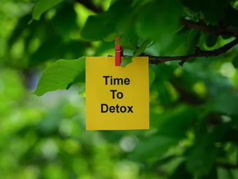 A yellow paper note with the phrase Time To Detox on it attached to a tree Stock Photos