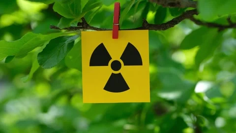 A yellow paper note with radiation warning sign on it attached to a tree Stock Footage 252279050