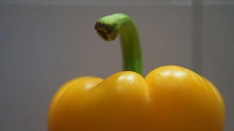 Yellow paprika in the closeup in front of white background Stock Footage 120418017