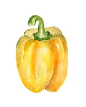 Yellow paprika Stock Illustration