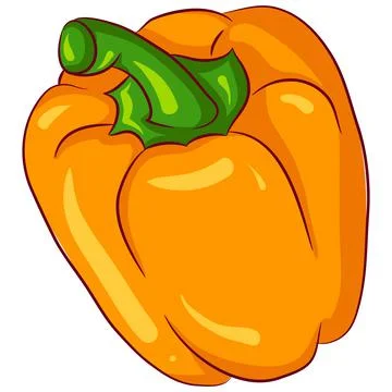 Yellow paprika pepper Stock Illustration
