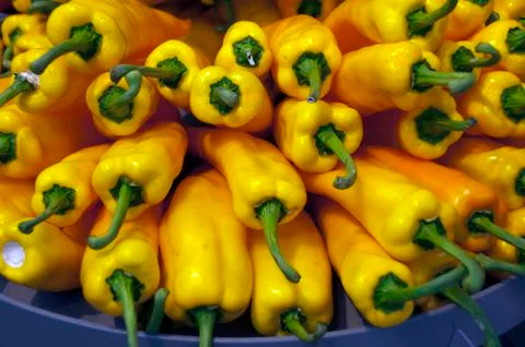 Yellow paprika Stock Photos