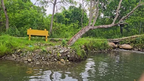 Yellow park bench sitting on a grassy riverbank in a lush forest a bright Vídeo Stock 342586627