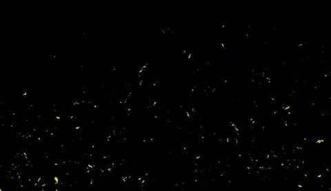 Yellow particles effect dust debris isolated on black background, motion powd Stock Illustration