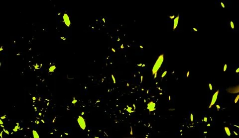 Yellow particles effect dust debris isolated on black background, motion powd Stock Illustration