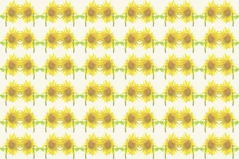 Yellow pattern of two symmetrical sunflowers used to make oil Stock Illustration