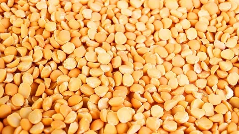 Yellow, pea peas vegetable texture Stock Footage 97165024