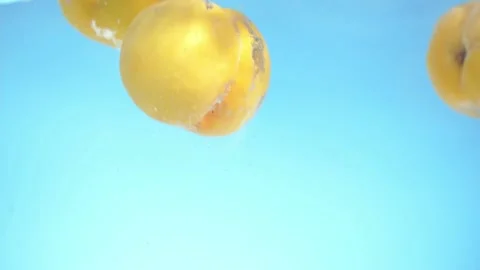 Yellow peaches Stock Footage 168602536