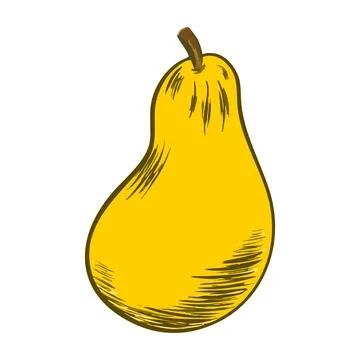 Yellow Pear hand drawn painted sketch. Fruit vector illustration isolated on Stock Illustration