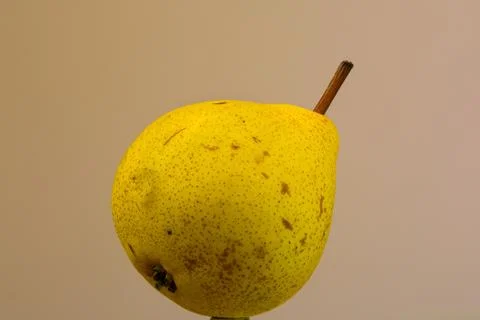 Yellow pear Stock Photos