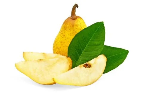 Yellow pear tree with leaves Stock Photos