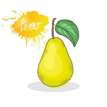 Yellow Pear vector illustration Stock Illustration
