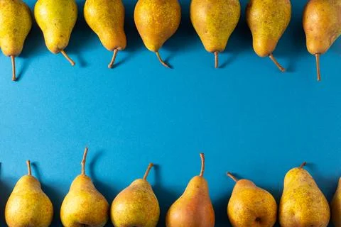 Yellow pears on a blue background. Fruit harvest. Autumn still life. Pear Stock-Fotos
