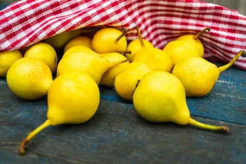 Yellow pears on blue background Stock Photos
