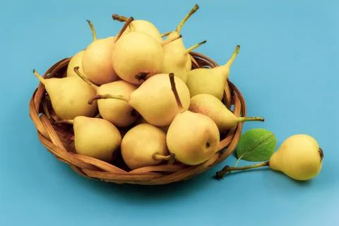 Yellow pears on blue background Stock-Fotos