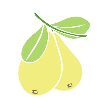Yellow pears on branch with foliage vector Stockillustratie
