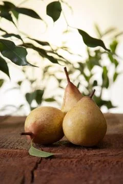 Yellow pears Stock Photos