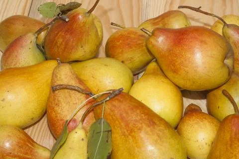 Yellow  pears  on a wooden  background Foto stock