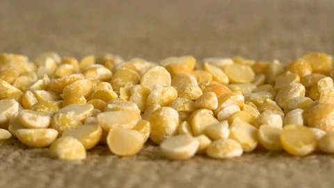 Yellow peas close up. Stock Footage 103137469