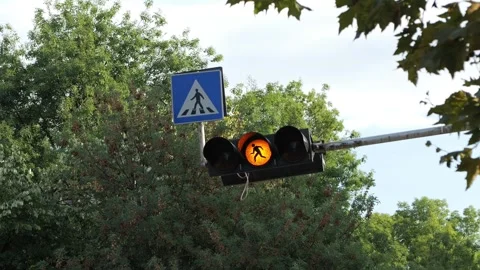 Yellow pedestrian crossing traffic light blinking 库存影片 344966641