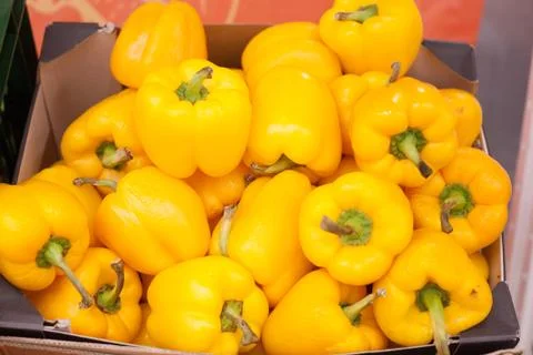 Yellow pepper background lots Stock Photos