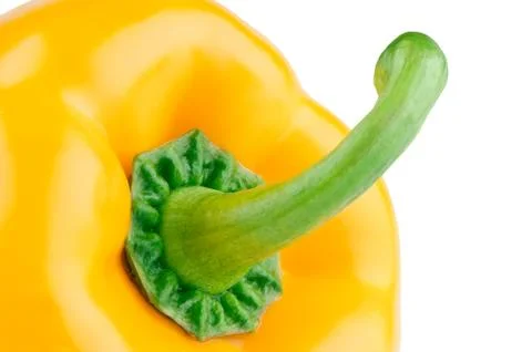 Yellow pepper close-up Stock Photos