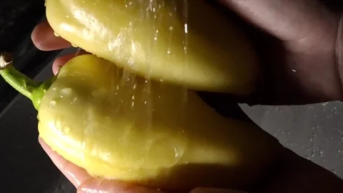 Yellow pepper Stock-Footage 346094541
