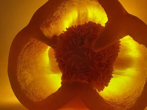 Yellow pepper inside Stock Photos