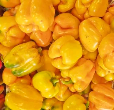 Yellow pepper Stock Photos