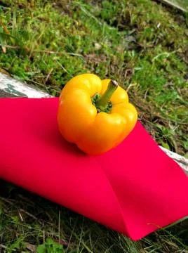 Yellow pepper on a red napkin on the grass Stock Photos