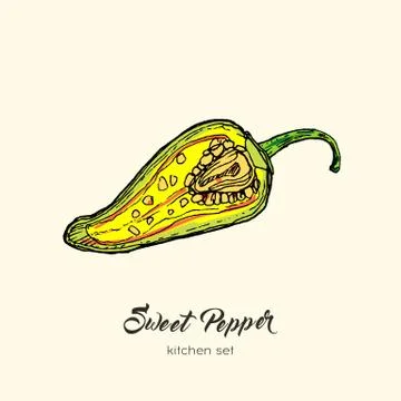 Yellow pepper vector isolate. Hand drawn illustration half cutted sweet bulga Stock Illustration