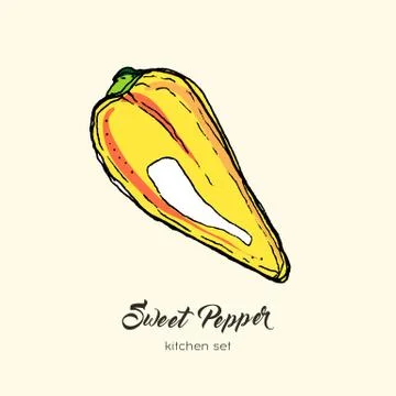 Yellow pepper vector isolated. Hand drawn illustration sweet bulgarian bell p Stock Illustration