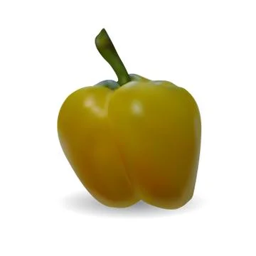 Yellow pepper on white background 스톡 일러스트