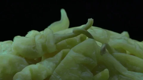 Yellow peppers pickles Stock-Footage 84770963