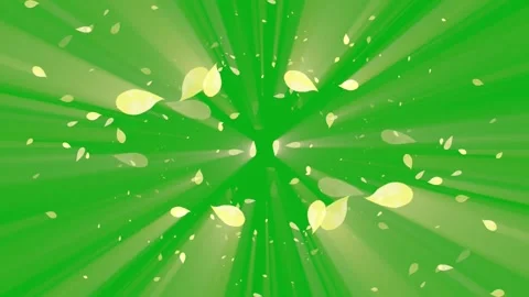 Yellow Petals Exploding with Light Rays on Green Screen Loop Vídeo Stock 321391256